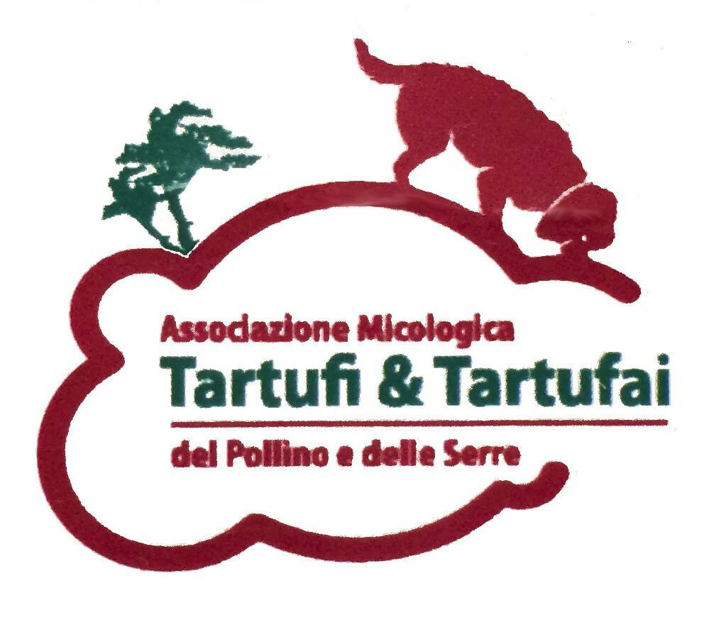 CARPACCIO LAMELLE  TARTUFO TARTUFI 100% 90 GR VASETTO TRUFFLE CUCINA RISTORANTE