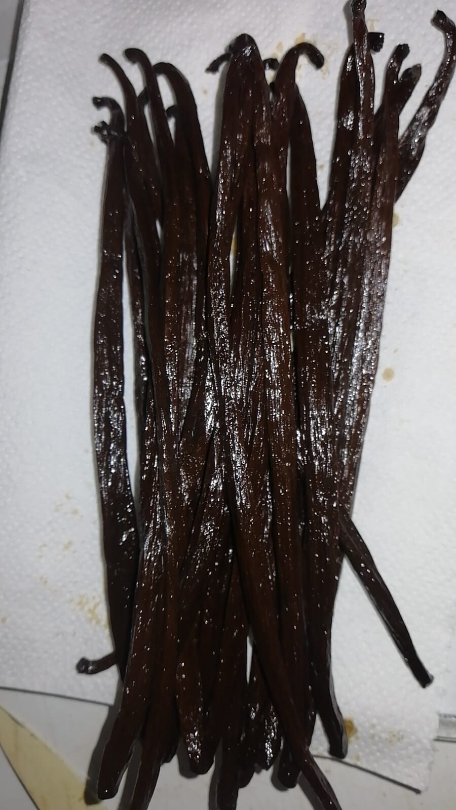 Vaniglia 5 Baccelli Bacche Bourbon Madagascar 19-20 cm Prima Scelta pasticceria - immagine 4