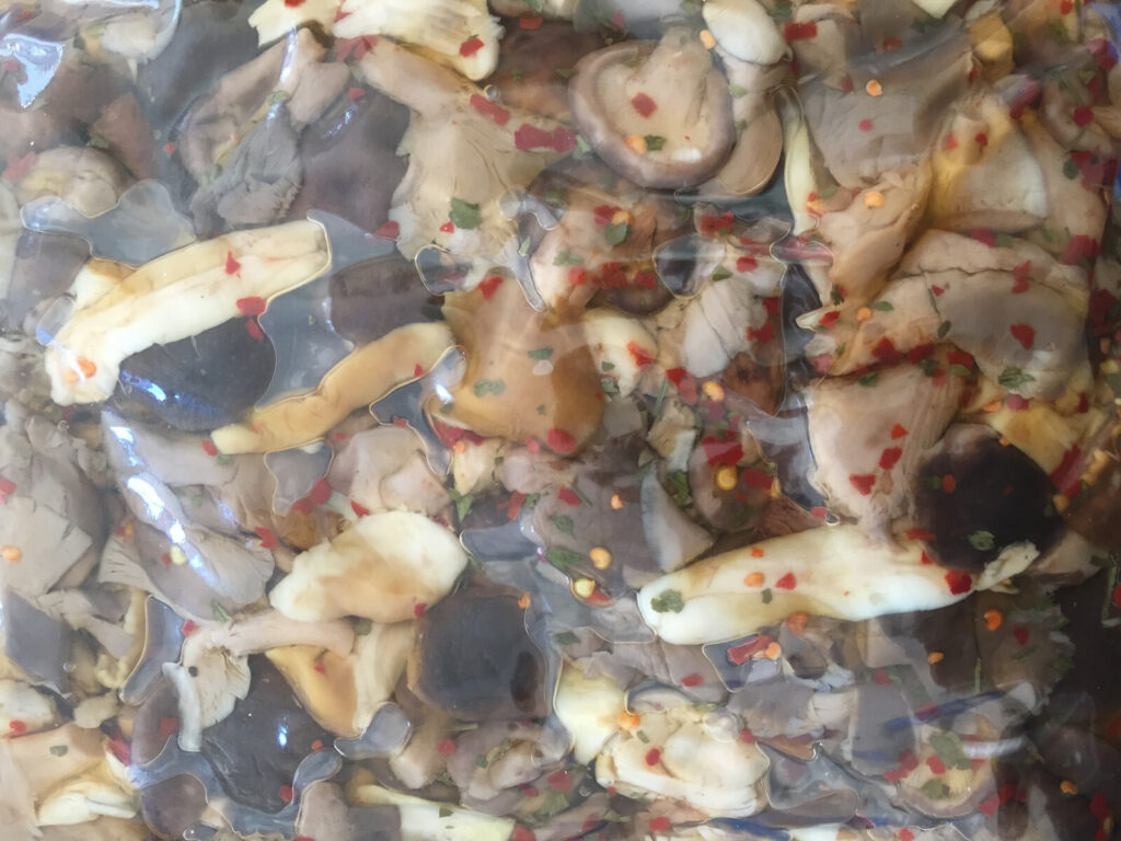 FANTASIA DI BOSCO FUNGHI MISTI VASO DA 3,100 KG IN OLIO DI SEMI DI GIRASOLE CENA