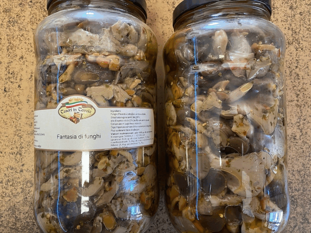 FANTASIA FUNGHI OLIO DI SEMI VASO 3100 ml ANTIPASTO TIPICO CALABRESE CASERECCIO