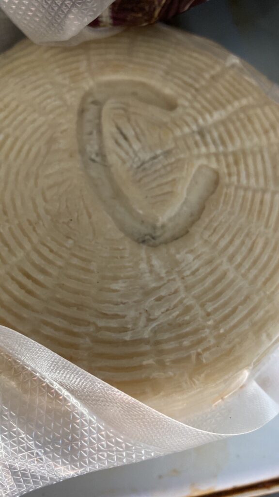 FORMAGGIO CAPRINO  CAPRA FORMA INTERA PESO 500-900 GRAMMI ARTIGIANALE CASARECCIO
