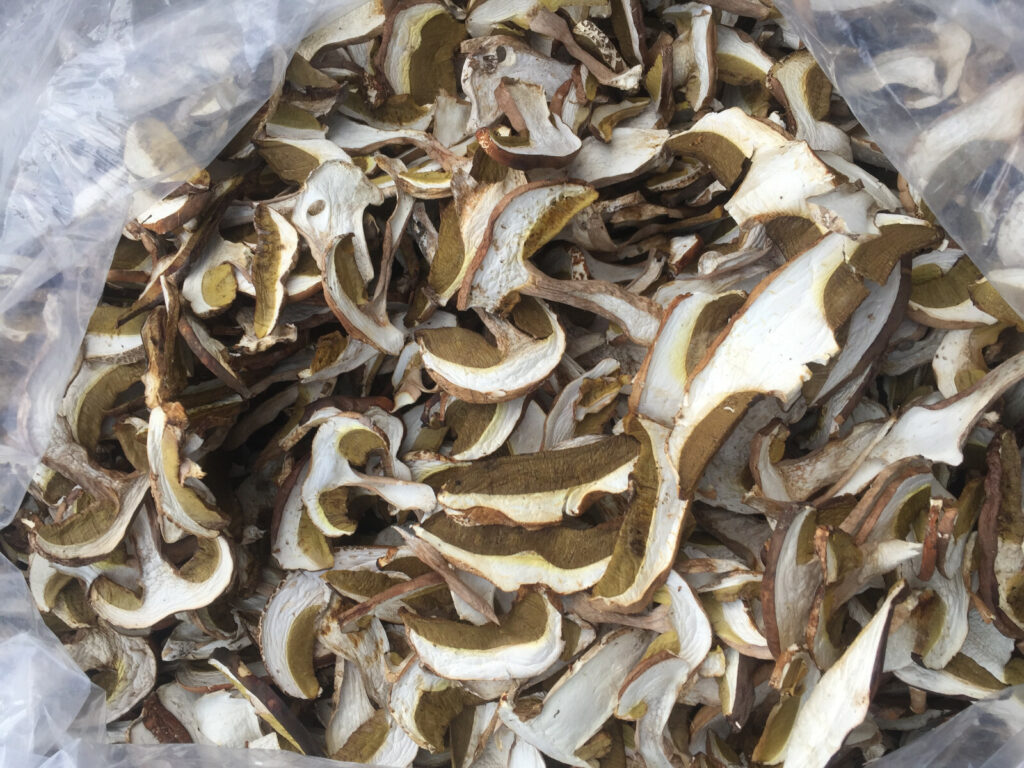 FUNGHI PORCINI SECCHI QUALITA' COMMERCIALE BUSTA DA 100 G ARTIGIANALE CALABRIA