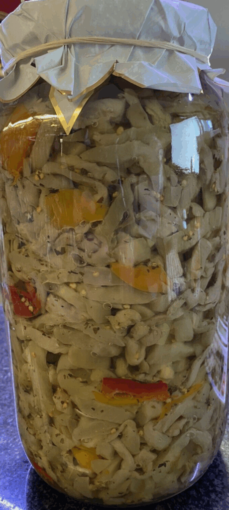 MELANZANE A FILETTO OLIO SEMI PEPERONI AGLIO ORIGANO MENTA ANTIPASTO CONTORNO