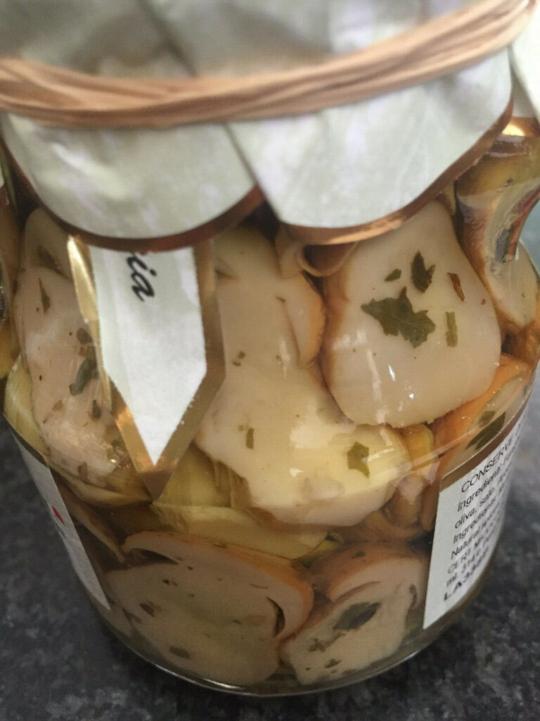 funghi porcini di bosco tagliai in vasetto e in olio d'oliva grammi 314